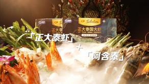 正大X阿含泰食品宣传片_北京乐虎官网-宣传片拍摄制作公司-专业宣传片拍摄,企业宣传片,宣传片制作